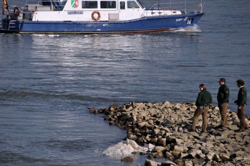 Einsatz BF Koeln Person im Rhein Rheinkassel P09.jpg